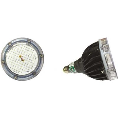 Electrıcal Ballested Bulb / Click