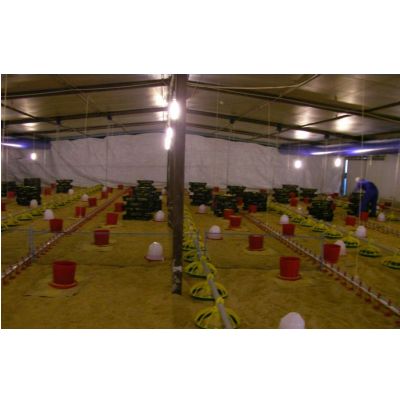 Gallery / Feeding and Watering System