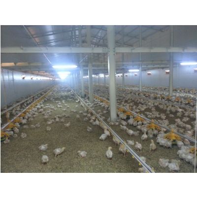 Gallery / General Coop