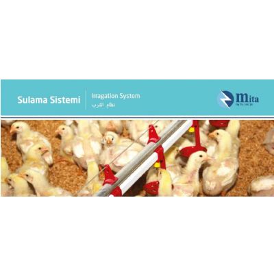 Gallery / Nipel Types