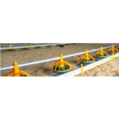 Gallery / Spiral Feeding System